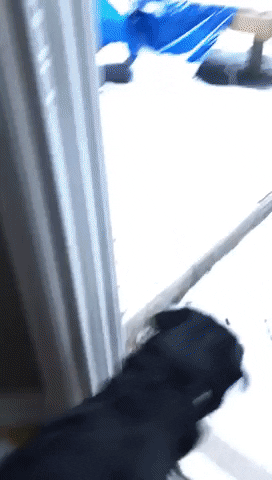 BlackLabBeer winter outdoors fresh air running into the weekend GIF