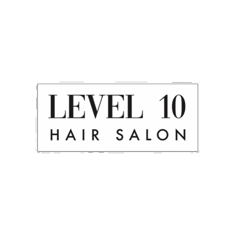Logo Salon Sticker by Level10hairsalon