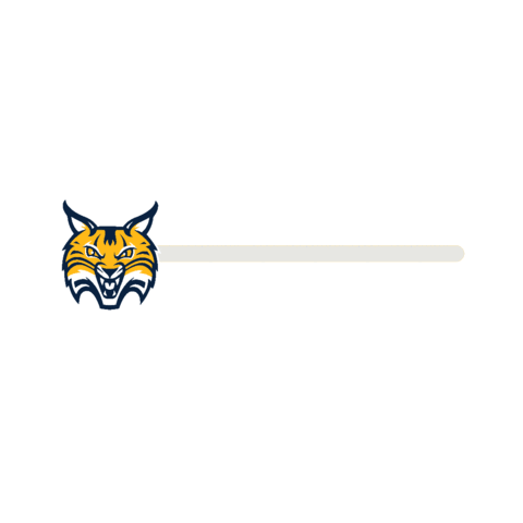 quinnipiac car sticker