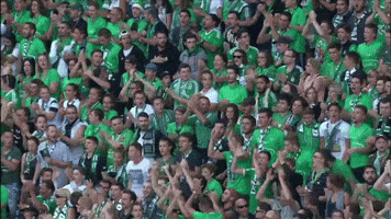 fans asse GIF by AS Saint-Etienne