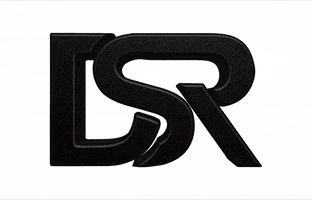 Draslaric logo brand dsr draslaric GIF