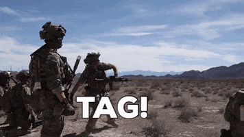 usarmy tag army military soldier GIF