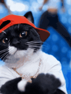 Rolling Limp Bizkit GIF