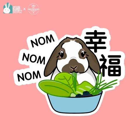 Eat Chinese New Year GIF by the3bunnies.co