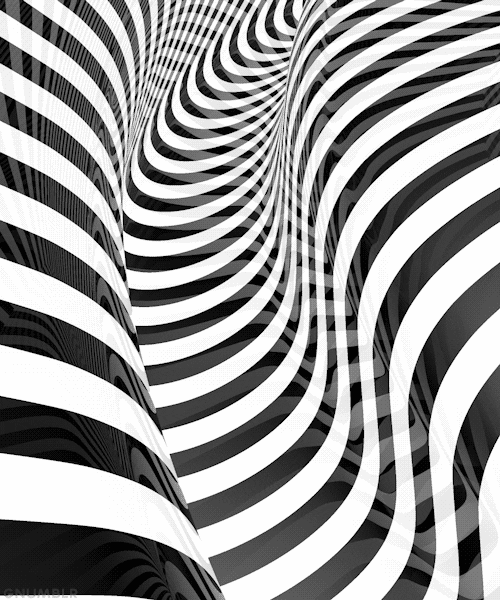black and white art GIF by G1ft3d