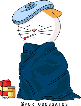 Porto dos Gatos Sticker
