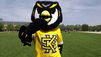 Kennesawstate Hello GIF by Kennesaw State University