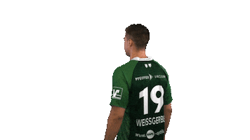 HSG Wetzlar Sticker