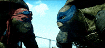 Teenage Mutant Ninja Turtles GIF