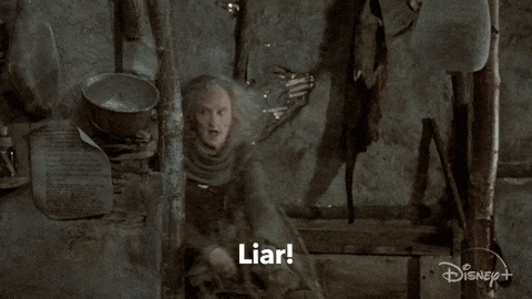 Youre A Liar GIFs - Get the best GIF on GIPHY