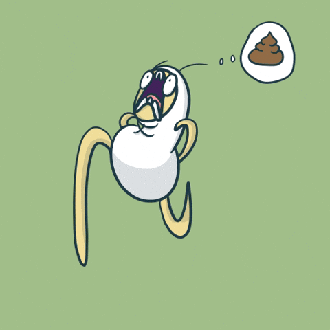 Poop Toilet GIF by Simply Micho