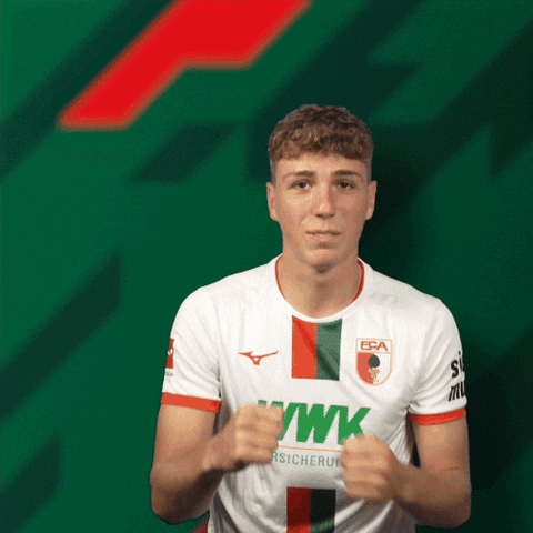 Fight Fighting GIF by FC Augsburg 1907