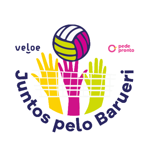 Ze Roberto Volleyball Sticker by Veloe