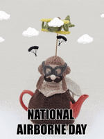 Pilot Biplane GIF by TeaCosyFolk