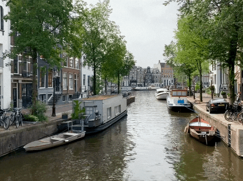 Próximo podcast, nos vamos de viaje a Holanda! Dejen sus preguntas... content media