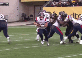 Montreal Cfl GIF