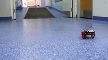 aczewe  GIF