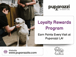 Dog Daycare California GIF