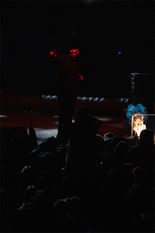 GIF by SnowFestPoland