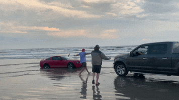 GIF by Blake Harrison