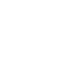 Wetgloss Permanent Paint Protection Sticker by WetGloss
