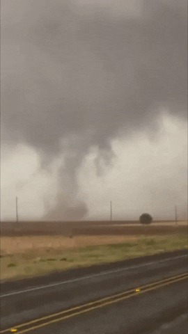 United States Texas GIF by Storyful