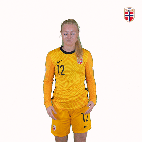 Czech Republic Whatever GIF by Norges Fotballforbund