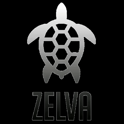 Zelvagorras GIF by ZELVA