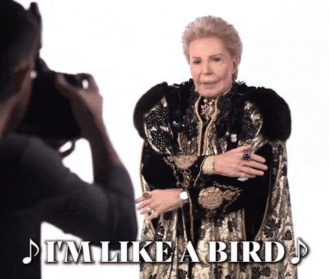 i m as free as a bird now gif