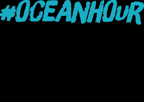 11thhourracingteam ocean earth sailing world water day GIF