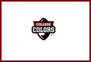 South Carolina College Colors Day Sticker by gamecocksonline