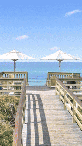 Lal Maggies GIF by The Magdalen House