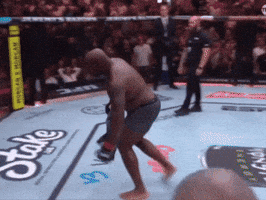 Derrick Lewis GIF by The Cage Report
