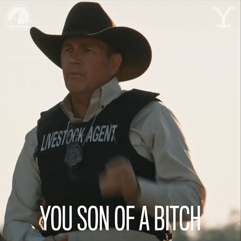 Angry Kevin Costner GIF by Yellowstone