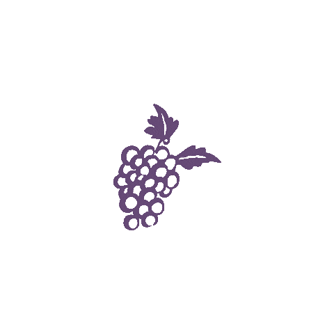 Swipe Up Santa Barbara Sticker by Grapeline Wine Tours