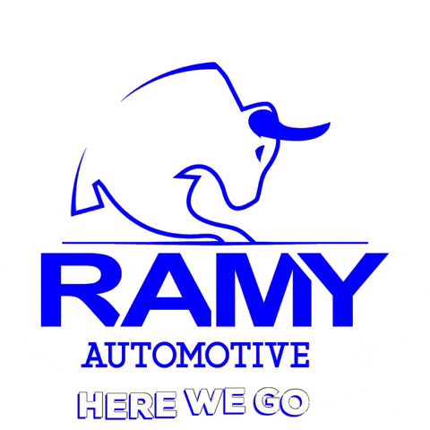GIF by RAMY Automotive