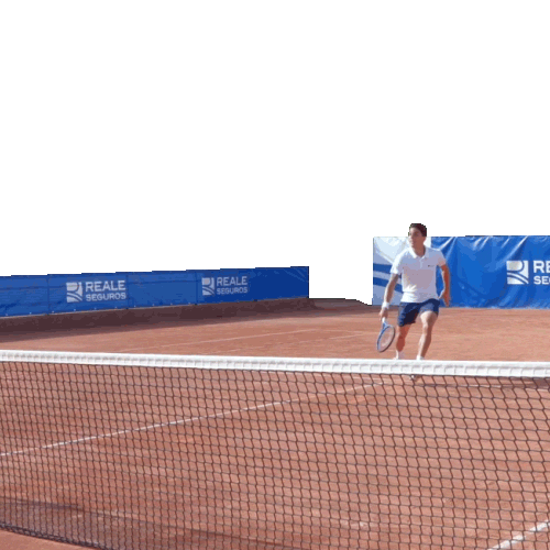 REALE SEGUROS Sticker