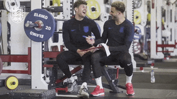 three lions friends GIF by England