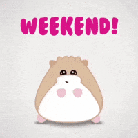 Happy Jump GIF by hamsta.world
