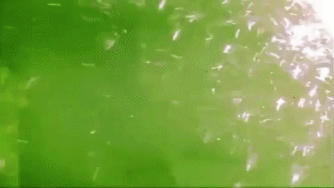 images Green Water Aesthetic Gif fire musicvideo gif find share on giphy