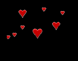 mississippi.duesseldorf GIF