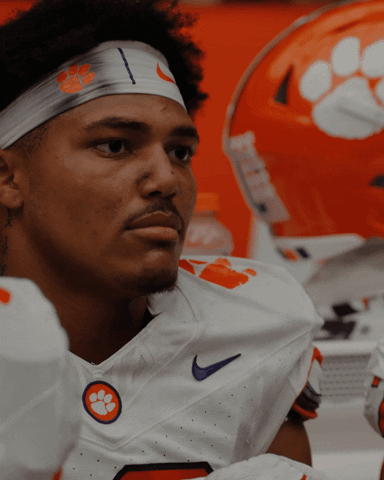 College Football No GIF by Clemson Tigers