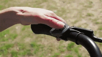 Bafang GIF