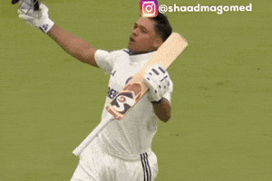 Rajasthan Royals GIF
