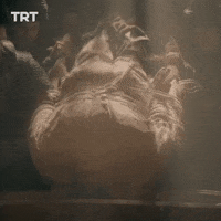 Torture Resurrection GIF by TRT
