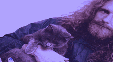 Sad Grumpy Cat GIF by Bear Hands