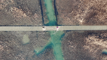 From Above Drone GIF by Chris