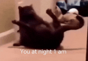 Puss In Boots Cat GIF