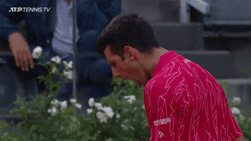 Screaming Novak Djokovic GIF by Tennis TV