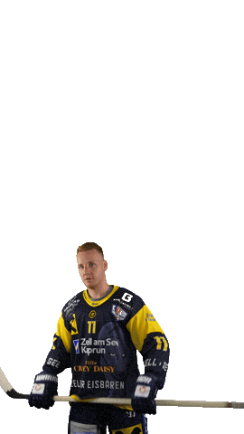 Zellamsee Ekz Sticker by EK Zeller Eisbären